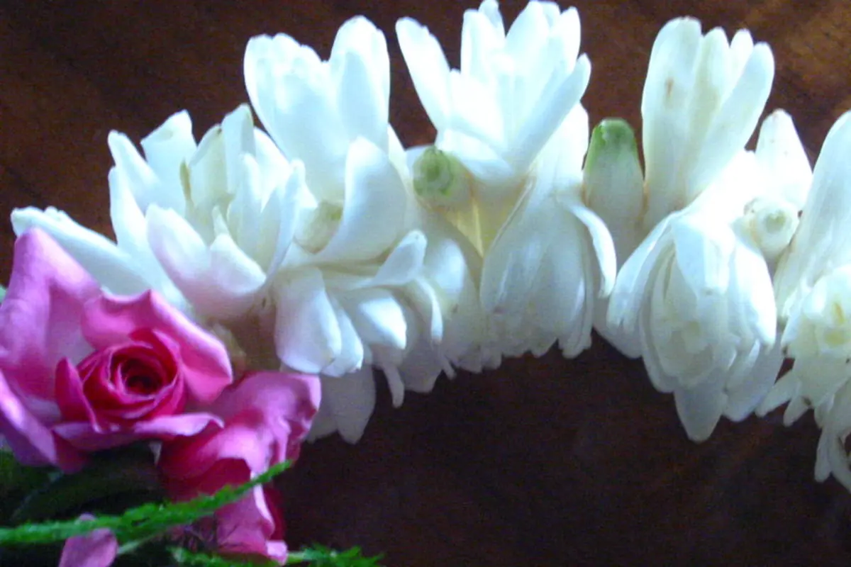 A flower lei of white tuberose blossoms